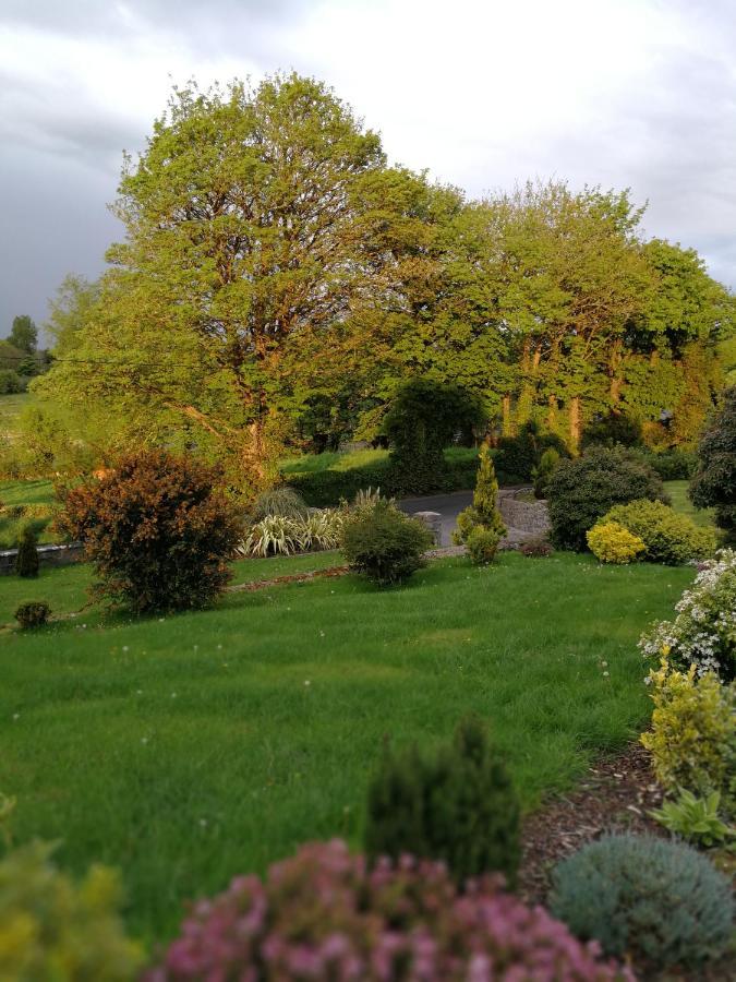 אניס Tower View Lodge מראה חיצוני תמונה