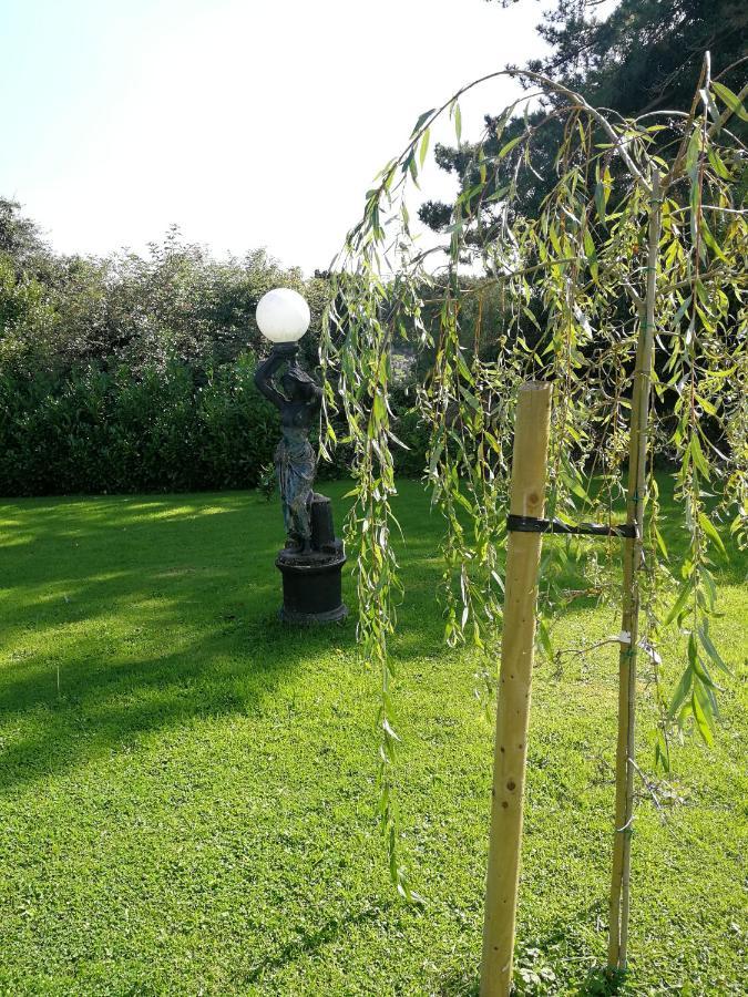 אניס Tower View Lodge מראה חיצוני תמונה